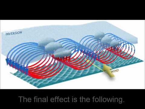 An Introduction to Chaos Theory with the Lorenz Attractor