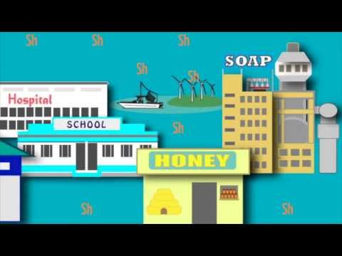 Somali Money Transfer Services