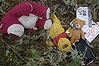 Passengers' belongings are pictured at the crash site of Malaysia Airlines flight MH17