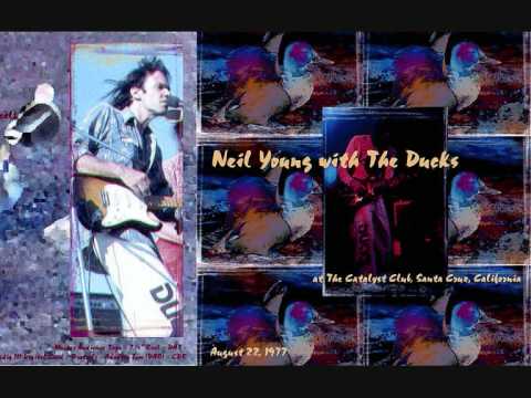 Neil Young & the Ducks -Windward Passage