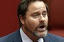 Greens Senator Peter Whish-Wilson speaks during the debate on the MRRT repeal bill, in the Senate at Parliament House in Canberra on Friday 18 July 2014. Photo: Alex Ellinghausen