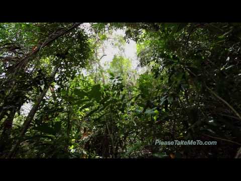 Bako National Park, Sarawak, Malaysia (1080HD)