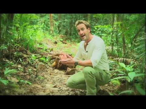 Ben Fogle's Sarawak Adventures - Matang Wildlife Centre