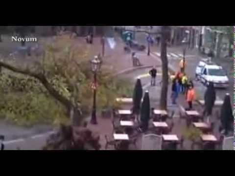 cyclist escapes the tree Netherlands