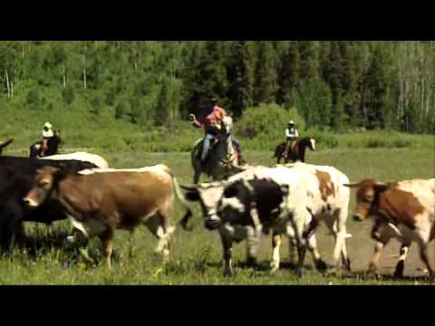 Travel Guide - Travel Colorado_ Vista Verde, Steamboat Springs, Colorado- Vista Verde.