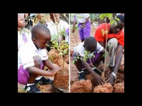 Video on Cameroon economic development - by students.avi