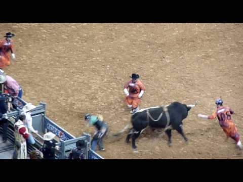 JW Harris scores 83.0 in Bull Riding Competition @ Houston Rodeo