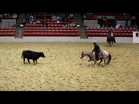 Houston Rodeo Professional Cutting Horse Competition