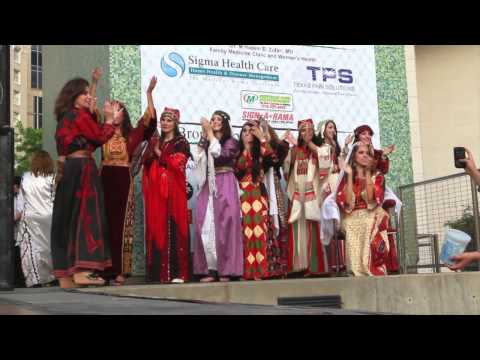 2nd Palestinian Festival of Houston, TX (2012)