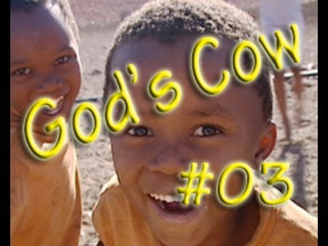 God's cow 03: Life on a typical farm in Namibia's stony desert