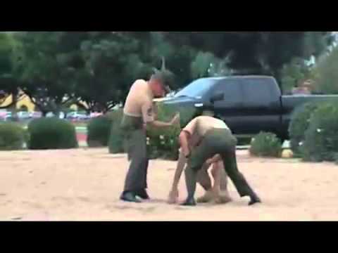 US Marine Corps Drill Instructor vs US Army Drill Sergeant