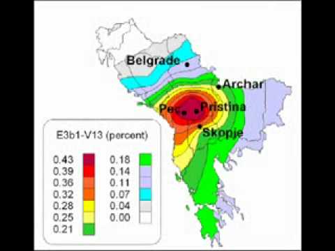 Albanian DNA and language