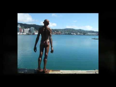 Wellington Travel Guide: Travel Tips For Wellington New Zealand