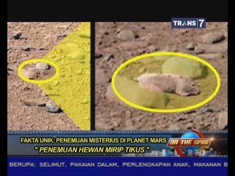 On The Spot TERBARU 24 Januari 2014 - Penemuan Misterius Di Planet Mars