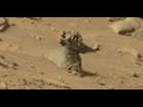 Humanoid's Galore on the Planet Mars?