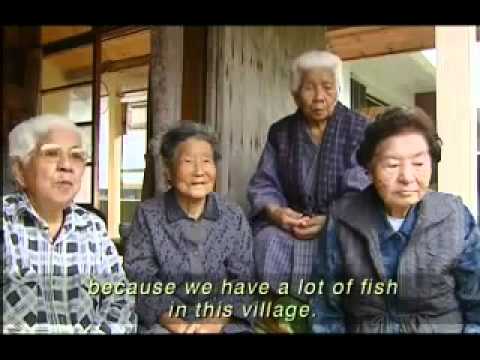 Okinawan Longevity and Health