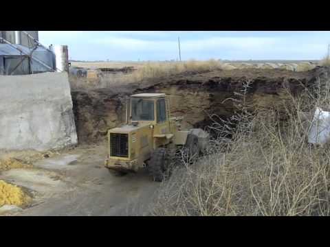 Feeding Cattle on a Kansas Livestock Farm!