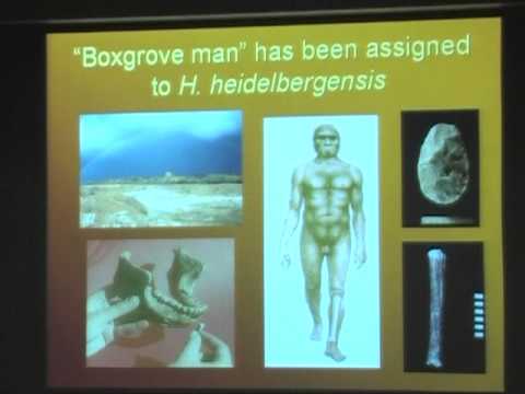 Natural Science - Homo Erectus