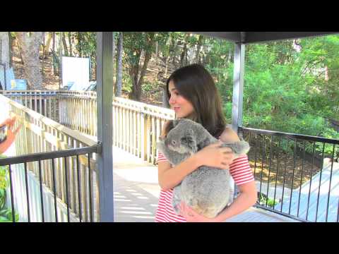 Victoria Justice cuddles the Koala's in Australia.mov