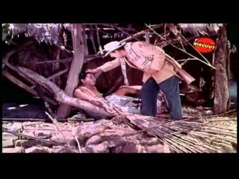 Shikari 1963 I Ajit, Helen, Ragini I Full Length Hindi Movie