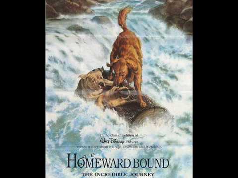 06. The Cougar (score) - Homeward Bound: The Incredible Journey OST