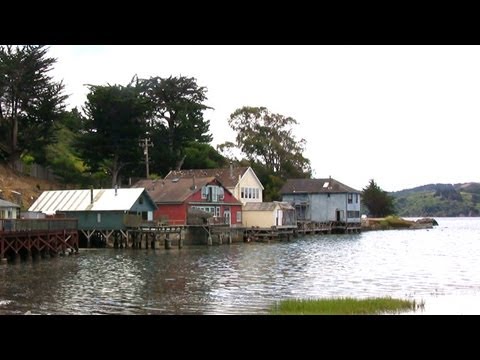 Tomales Bay