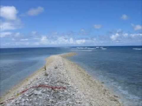 Kingman Reef pristine coral wilderness