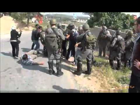 Israeli Soldiers Attack Female Humanitarian Activists