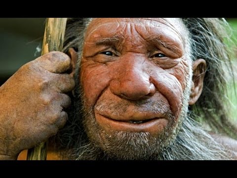 Ape To Man - Evolution Documentary