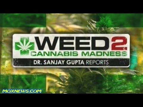 Dr Sanjay Gupta's 