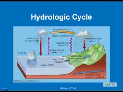 Limnology - Hydrologic Cycle