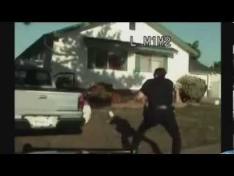 Police Shootouts 2013 (WARNING GRAPHIC FOOTAGE)