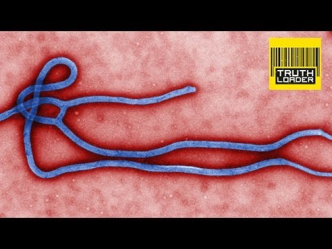 What is Ebola? - Truthloader