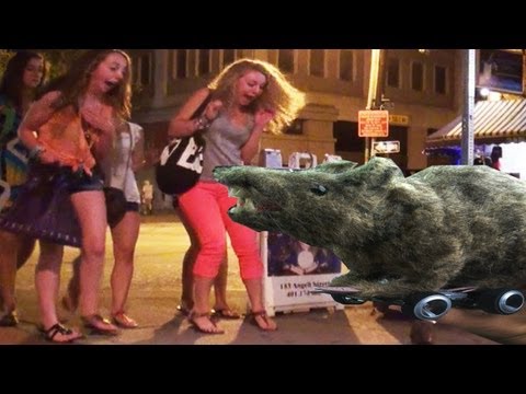 Funny Remote Control Rat Prank