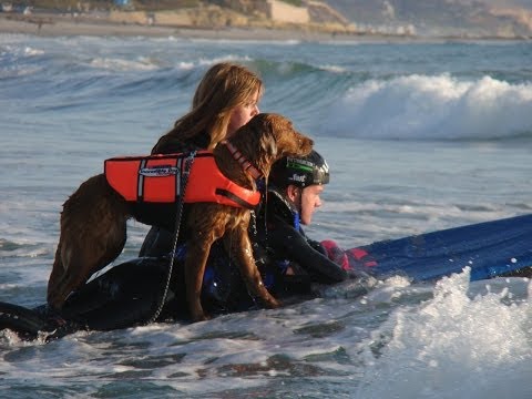 Riding a wave of hope with Ricochet -- An inspirational video of a surf dogs journey