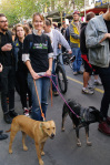 Woman in climate action t-shirt hold leads of two dogs