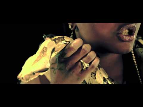 Waka Flocka Flame - Snakes In The Grass ( Director's Cut )