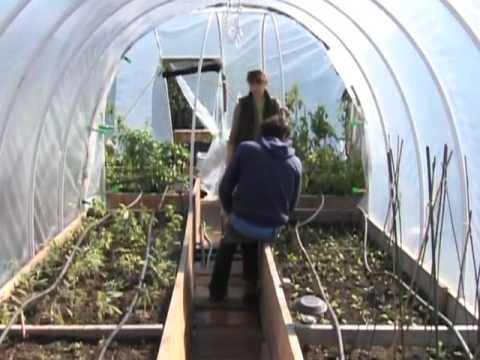 Rooftop Gardening is a Growing Trend in New York City