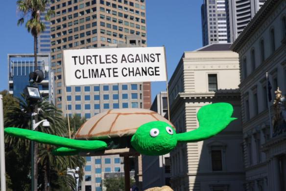 Turtles against Climate Change ...