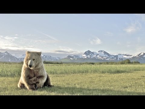 Wild Canada Part One - The Eternal Frontier