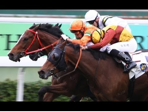 2010 The 18 Districts Cup (Handicap) - Glory Of India (印度光輝)