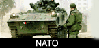 NATO News