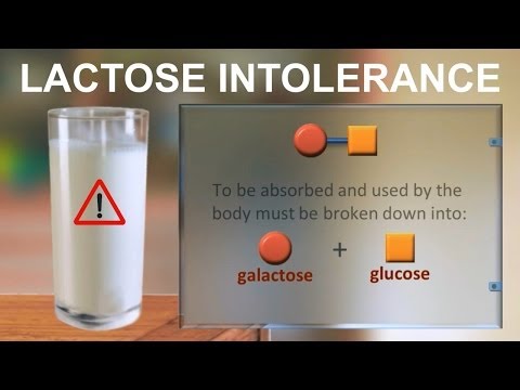 Lactose intolerance