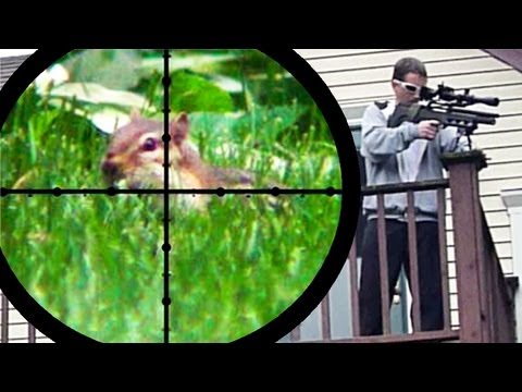 Chipmunk Pest Control [Air Rifle Hunting] (June 25, 2011)