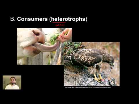 Ecology Part 1 - Basic Ecology