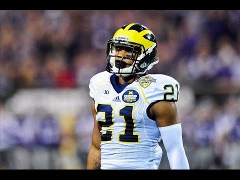 Jeremy Gallon Michigan Highlights ᴴᴰ