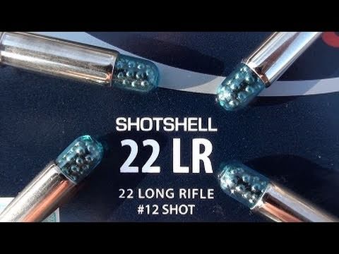 .22 LR CCI Shotshell