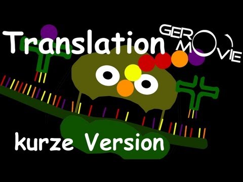 Translation Biologie GeroMovie (kurze Version)