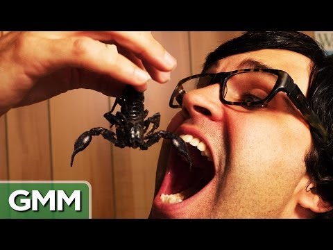 Eating a Scorpion - Bug War Challenge