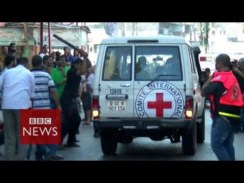 Gaza civilians attack Red Cross - BBC News